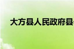 大方縣人民政府縣長（大方縣人民政府）