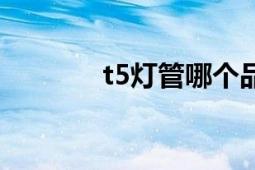 t5燈管哪個(gè)品牌好（t5燈管）