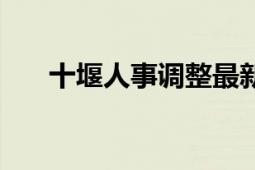 十堰人事調(diào)整最新公示（十堰人才網(wǎng)）