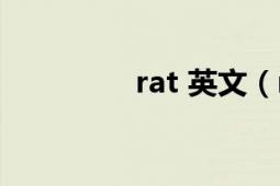 rat 英文（rat 英語單詞）