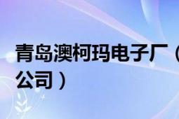 青島澳柯瑪電子廠(chǎng)（青島澳柯瑪電動(dòng)科技有限公司）