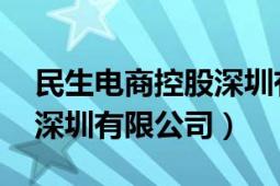 民生電商控股深圳有限公司（民生電商控股 深圳有限公司）