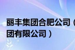 麗豐集團(tuán)合肥公司（安徽省麗豐房地產(chǎn)開發(fā)集團(tuán)有限公司）