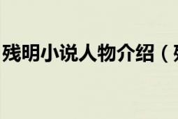 殘明小說人物介紹（殘明 平抑驚人所著小說）