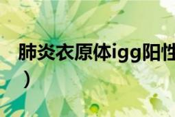 肺炎衣原體igg陽性是什么意思（肺炎衣原體）