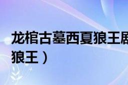 龍棺古墓西夏狼王劇情解說(shuō)（龍棺古墓：西夏狼王）