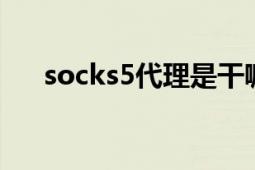 socks5代理是干嘛的（SOCKS5代理）