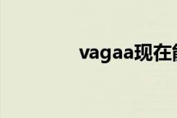 vagaa現(xiàn)在能用嗎（vaga）