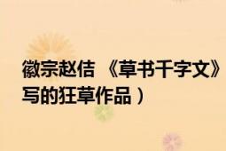 徽宗趙佶 《草書千字文》（草書千字文 北宋宋徽宗趙佶書寫的狂草作品）