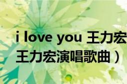 i love you 王力宏歌詞（do you love me 王力宏演唱歌曲）