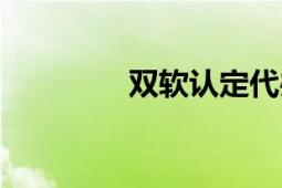 雙軟認定代辦（雙軟認定）