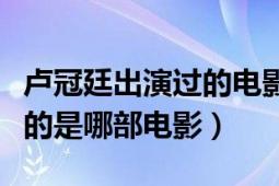 盧冠廷出演過(guò)的電影（盧冠廷說(shuō)他有多少慧根的是哪部電影）