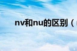 nv和nu的區(qū)別（nv和nu有什么區(qū)別）