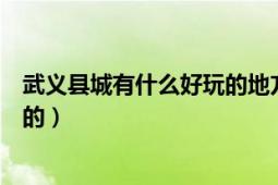 武義縣城有什么好玩的地方（浙江省武義縣有什么地方好玩的）