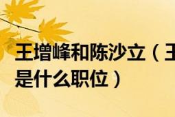 王增峰和陳沙立（王增峰在陳沙立扶貧基金會是什么職位）