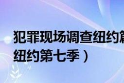 犯罪現(xiàn)場調(diào)查紐約篇演員表（犯罪現(xiàn)場調(diào)查：紐約第七季）