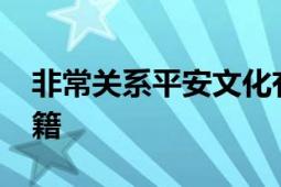 非常關系平安文化有限公司2011年出版的書籍