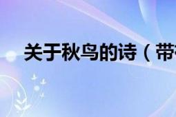 關(guān)于秋鳥(niǎo)的詩(shī)（帶有秋鳥(niǎo)的古詩(shī)及詩(shī)意）