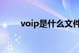 voip是什么文件夾（VOIP是什么）