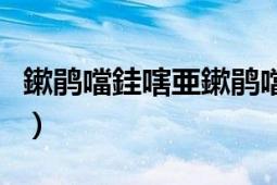 鏉鵑噹銈嗐亜鏉鵑噹鐢變簳浣滃搧（松野由井）