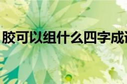 膠可以組什么四字成語(yǔ)（膠.可以組什么詞語(yǔ)）