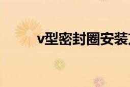 v型密封圈安裝方法（V型密封圈）