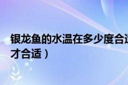 銀龍魚的水溫在多少度合適（銀龍魚正常水溫要多少度飼養(yǎng)才合適）