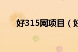 好315網(wǎng)項(xiàng)目（好315致富網(wǎng)靠譜嗎）