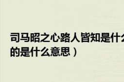 司馬昭之心路人皆知是什么意思啊（司馬昭之心路人皆知指的是什么意思）