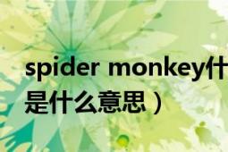 spider monkey什么意思（spidermonkey是什么意思）