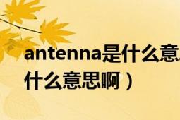 antenna是什么意思中文翻譯（antenna是什么意思?。?></div></a><div   id=