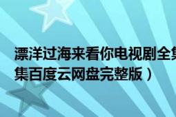 漂洋過(guò)海來(lái)看你電視劇全集資源（漂洋過(guò)海來(lái)看你電視劇全集百度云網(wǎng)盤(pán)完整版）