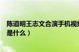 陳道明王志文合演手機視頻（王志文陳道明主演的手機結(jié)局是什么）