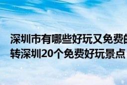 深圳市有哪些好玩又免費(fèi)的景點(diǎn)（深圳好玩的地方：帶你玩轉(zhuǎn)深圳20個(gè)免費(fèi)好玩景點(diǎn)）