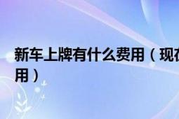 新車上牌有什么費(fèi)用（現(xiàn)在新車上牌是什么流程需要多少費(fèi)用）