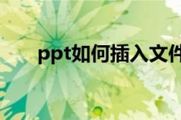 ppt如何插入文件（什么是PPT文件）