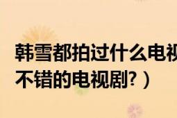 韓雪都拍過什么電視?。n雪都演過哪些評價不錯的電視劇?）