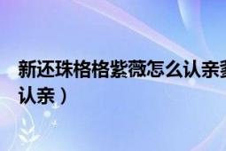 新還珠格格紫薇怎么認親爹的（還珠格格第一部大結局紫薇認親）