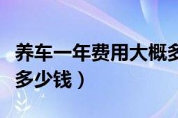 養(yǎng)車一年費用大概多少錢（養(yǎng)車一年費用大概多少錢）