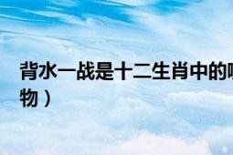 背水一戰(zhàn)是十二生肖中的哪種動物（背水一戰(zhàn)猜猜是什么動物）