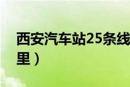 西安汽車站25條線路停運(yùn)（西安汽車站在哪里）