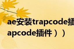 ae安裝trapcode插件（AE如何漢化插件（trapcode插件））