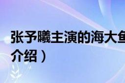 張予曦主演的海大魚（張予曦電影海大魚劇情介紹）