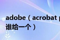 adobe（acrobat professional 7.0 序列號(hào) 誰(shuí)給一個(gè)）