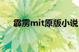 霹靂mit原版小說(shuō)（霹靂mit分集劇情）