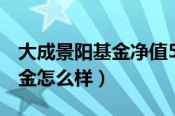 大成景陽基金凈值519019今日（大成景陽基金怎么樣）