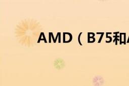 AMD（B75和AMD 710哪個(gè)好）