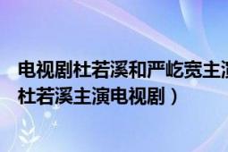 電視劇杜若溪和嚴(yán)屹寬主演的有（閨中密友 2013年嚴(yán)屹寬、杜若溪主演電視劇）