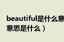 beautiful是什么意思（Beautifullies的中文意思是什么）