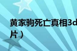 黃家駒死亡真相3d視頻（黃家駒死亡真相圖片）